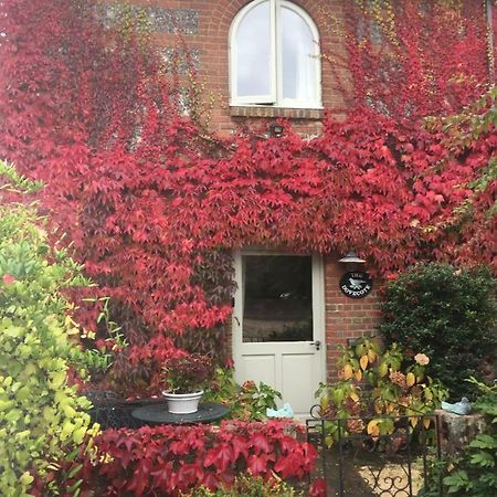 The Dovecote, Stoke Farthing Courtyard Villa Broad Chalke Buitenkant foto