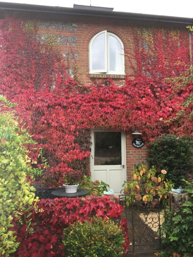 The Dovecote, Stoke Farthing Courtyard Villa Broad Chalke Buitenkant foto